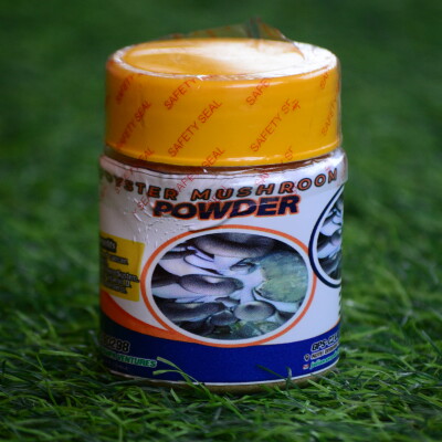 Oyster mushroom powder